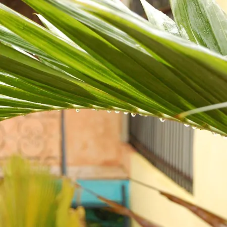La Choza Guesthouse-2